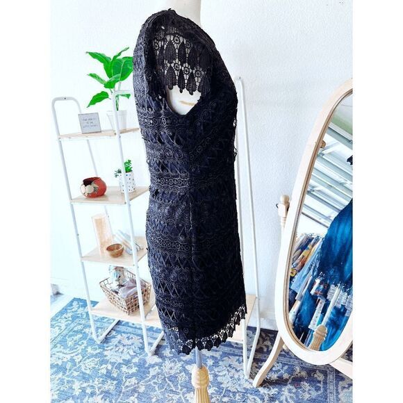 Francesca Black Dainty Laced Mini Dress - Picture 4 of 5